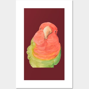 Watercolor loverbird lovebird parrot bird pink and green Posters and Art